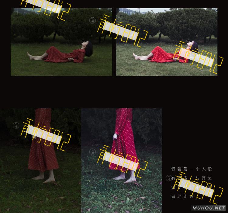 Luts调色预设：视频调色（LR-PR-AE-PS-FCPX-达芬奇）