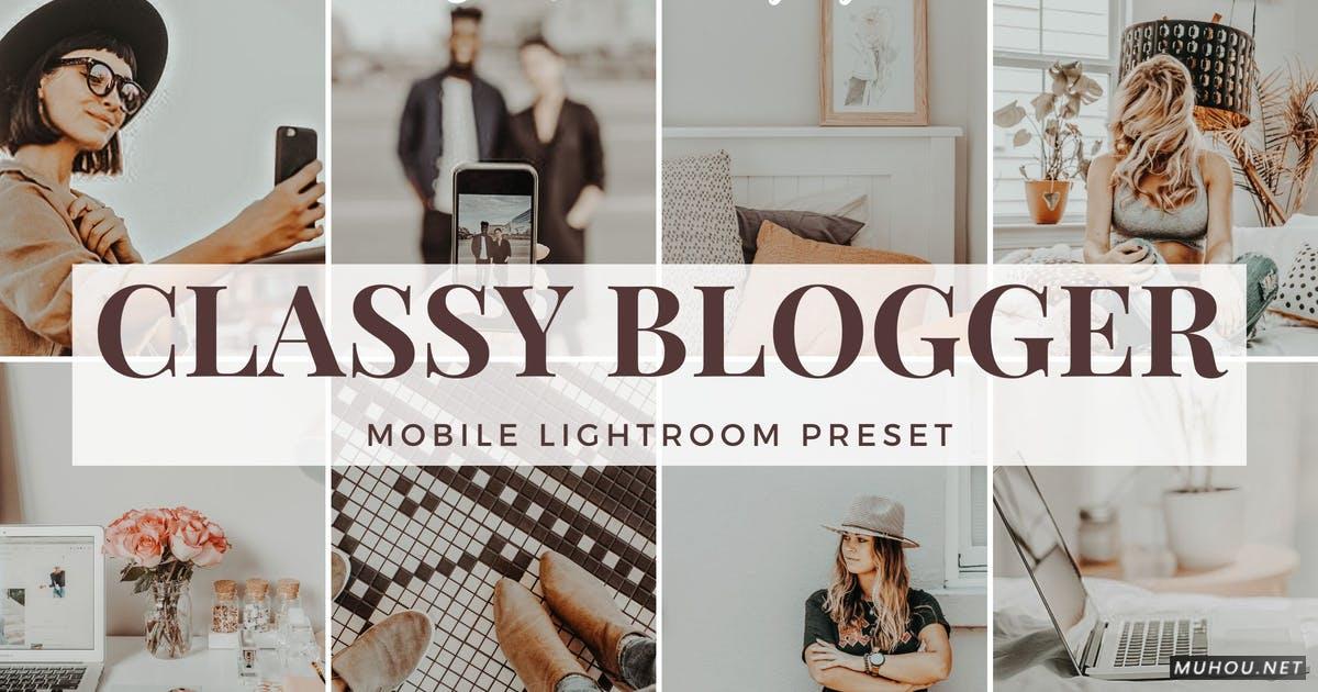 LR调色预设+手机版-INS网红博客干净灰调手机版LR胶片Classy Blogger - Mobile Lightroom Preset插图