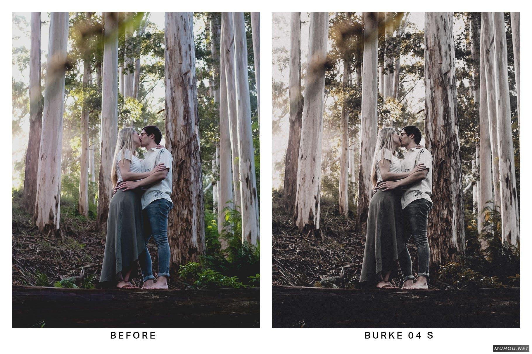 Luts调色预设-20套绿色森系自然森林照片视频调色滤镜20 Moody Forest Lightroom Presets and LUTs插图9