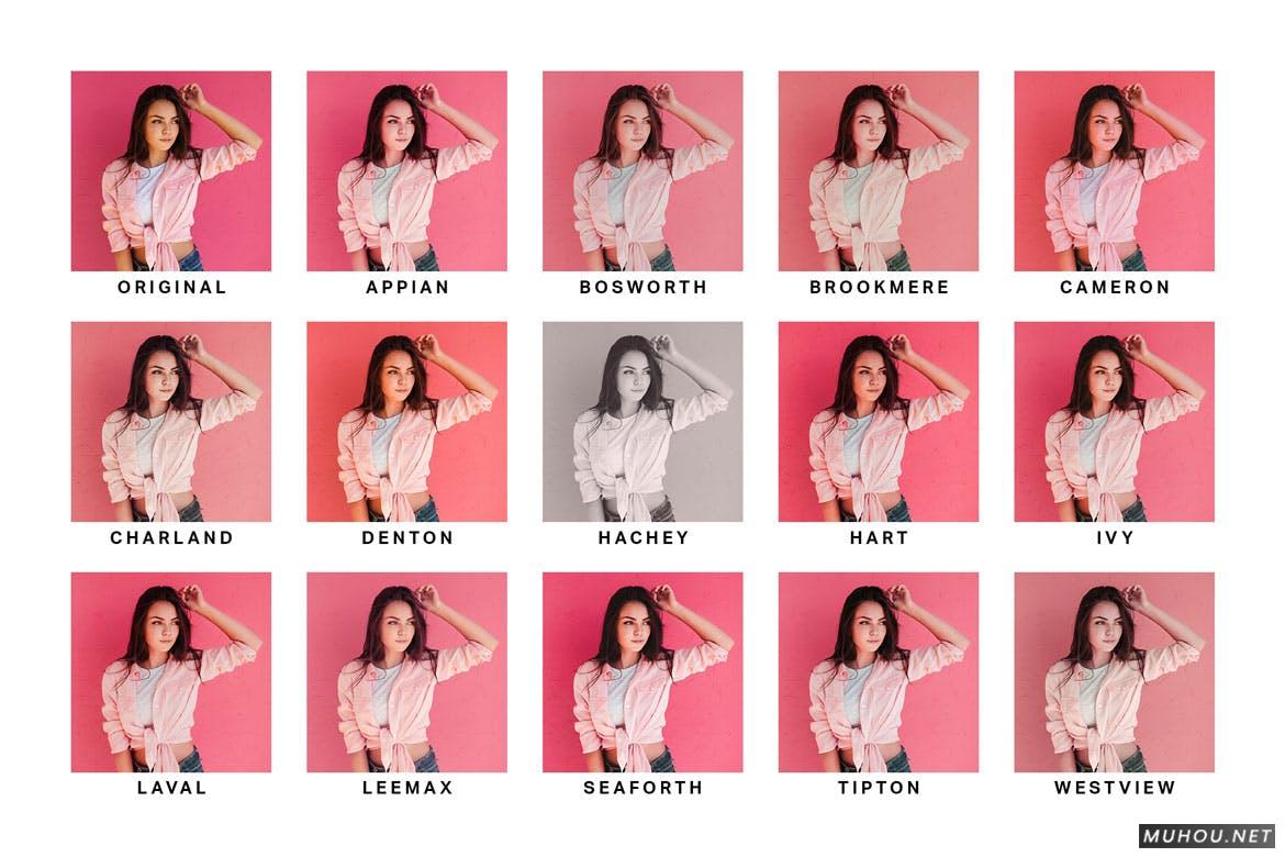 Luts调色预设-14组粉红色少女色系色调滤镜 14 Pink Lightroom Presets and LUTs插图8