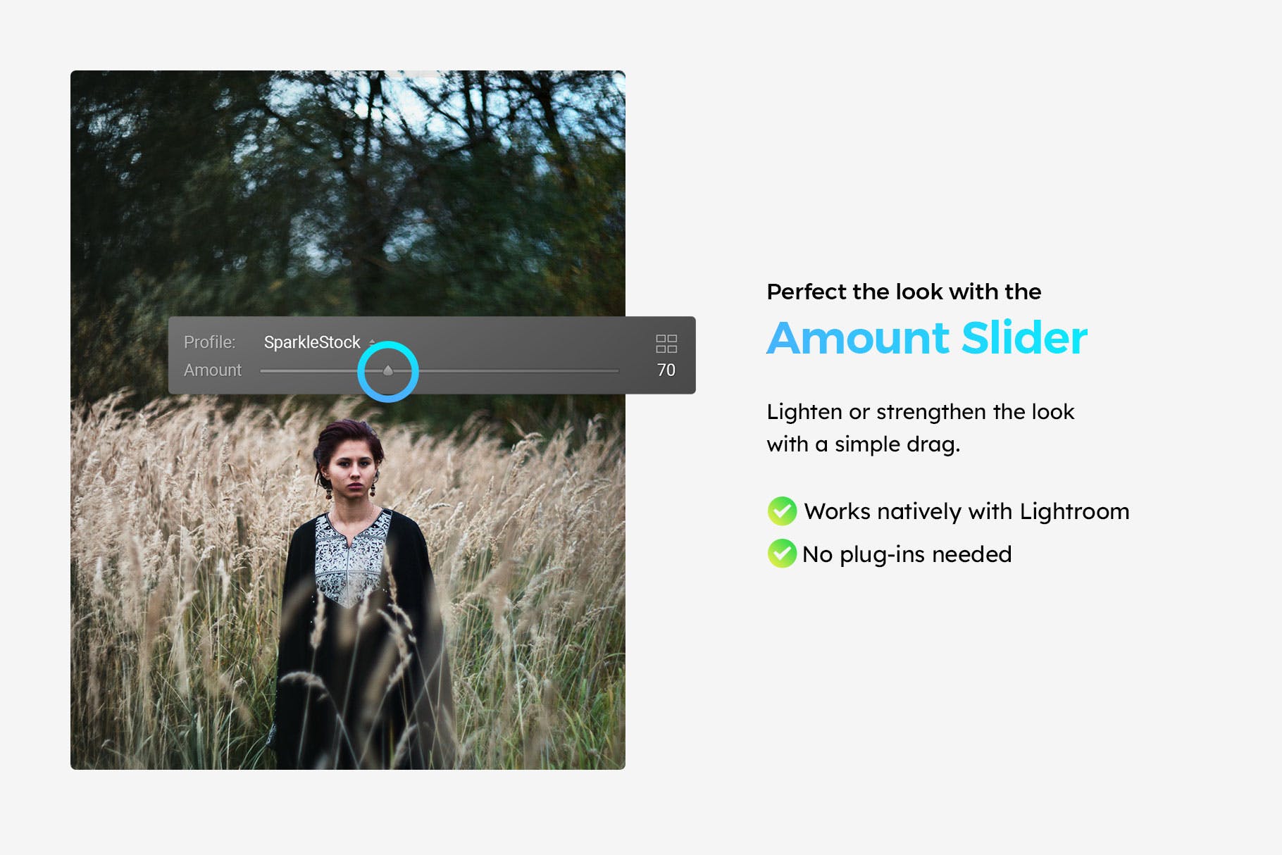 Luts调色预设-20组自然古朴原始森林色调滤镜Moody Woods Lightroom Presets & LUTs插图13