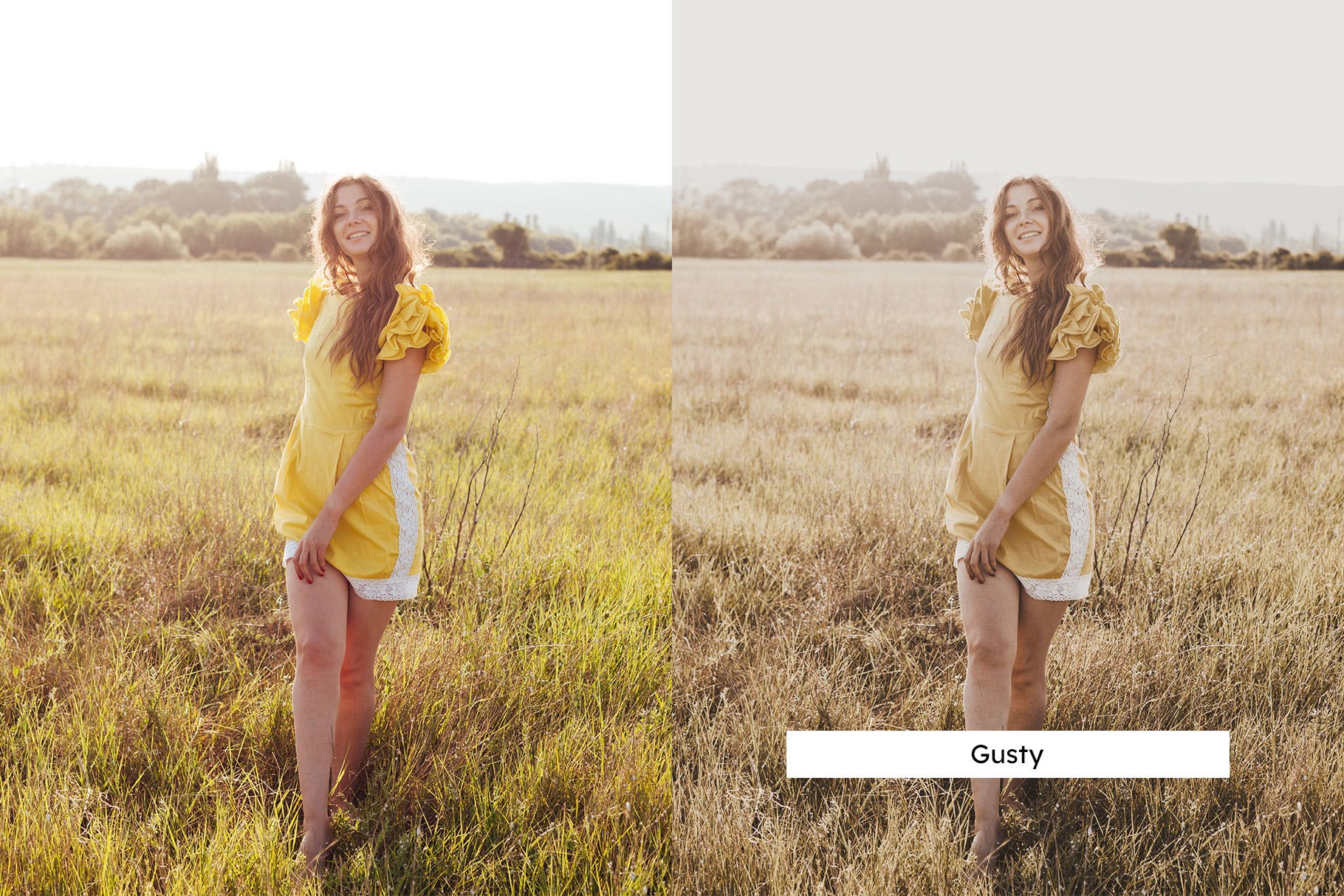 Luts调色预设-20个黑金麦田调色滤镜 Rye Lightroom Presets & LUTs插图9