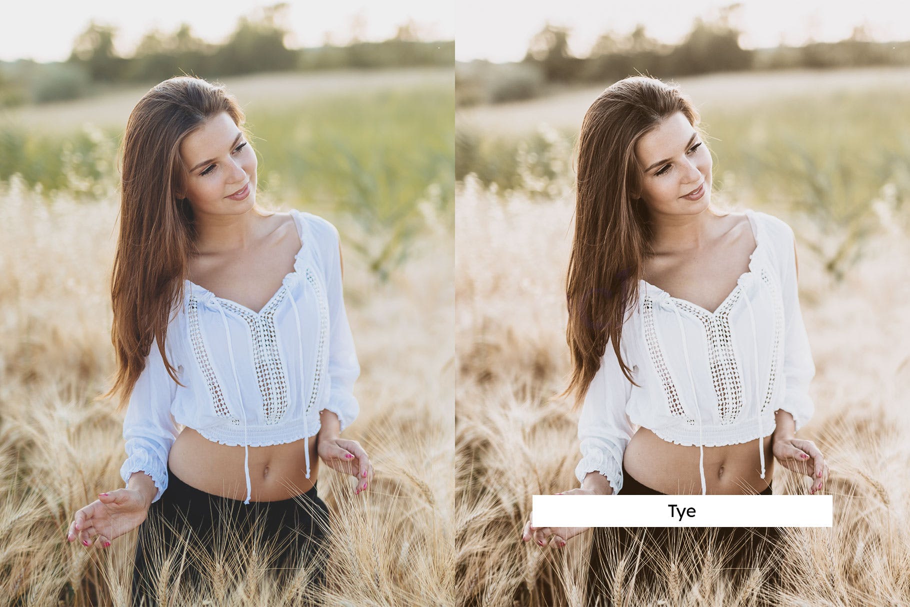 Luts调色预设-20个黑金麦田调色滤镜 Rye Lightroom Presets & LUTs插图11