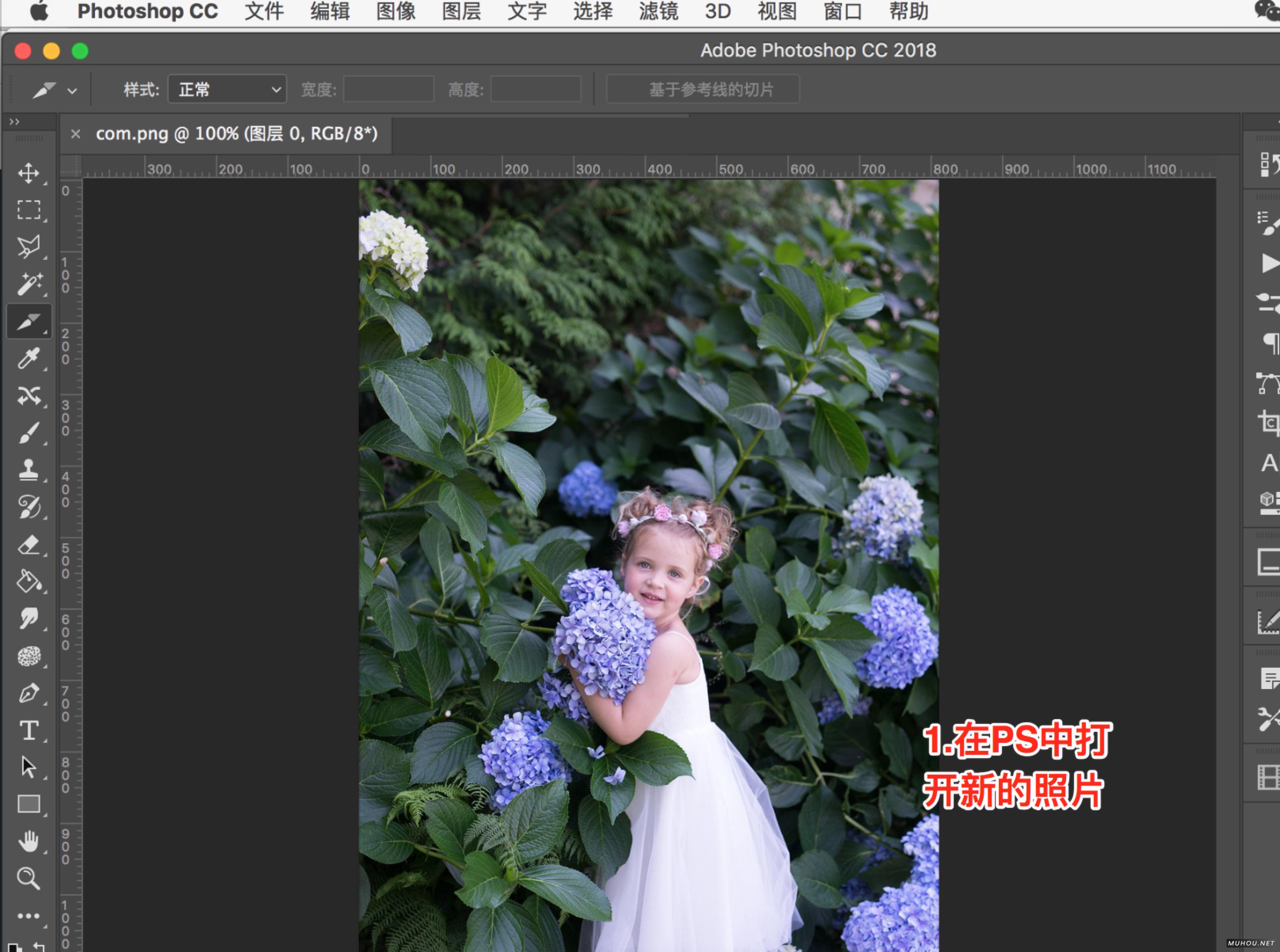 【PS调色预设安装】PS/ACR预设文件.xmp怎么导入Photoshop/Camera RAW+使用教程插图