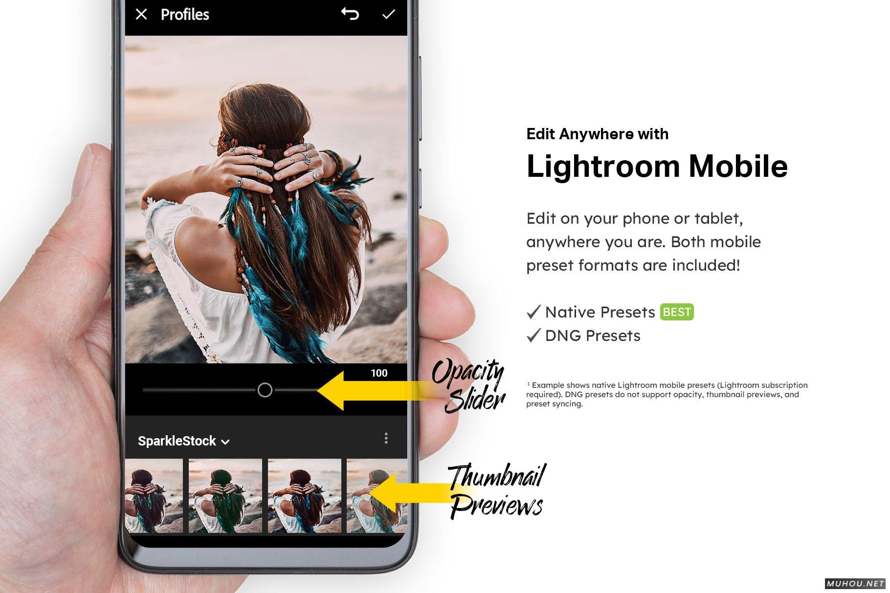 Luts调色预设-20套波西米亚风女性复古摄影色调下载 20 Boho Chic Lightroom Presets and LUTs插图10