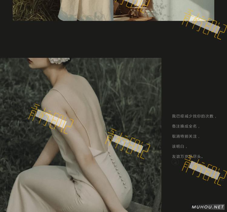 Luts调色预设：8组法式怀旧胶片效果人像视频调色滤镜下载（LR-PR-AE-PS-FCPX-达芬奇）