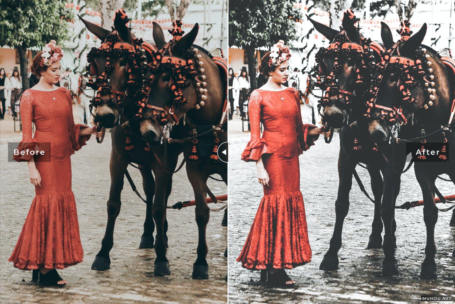 LR调色预设-国外奢华旅行塞维利亚风格调色+动作Seville Mobile & Desktop Lightroom Presets插图6