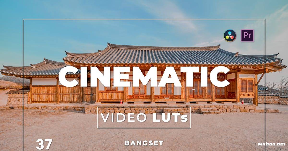 Luts视频预设-邦塞特复古色调调色滤镜视频LUTsBangset Cinematic Pack 37 Video LUTs插图