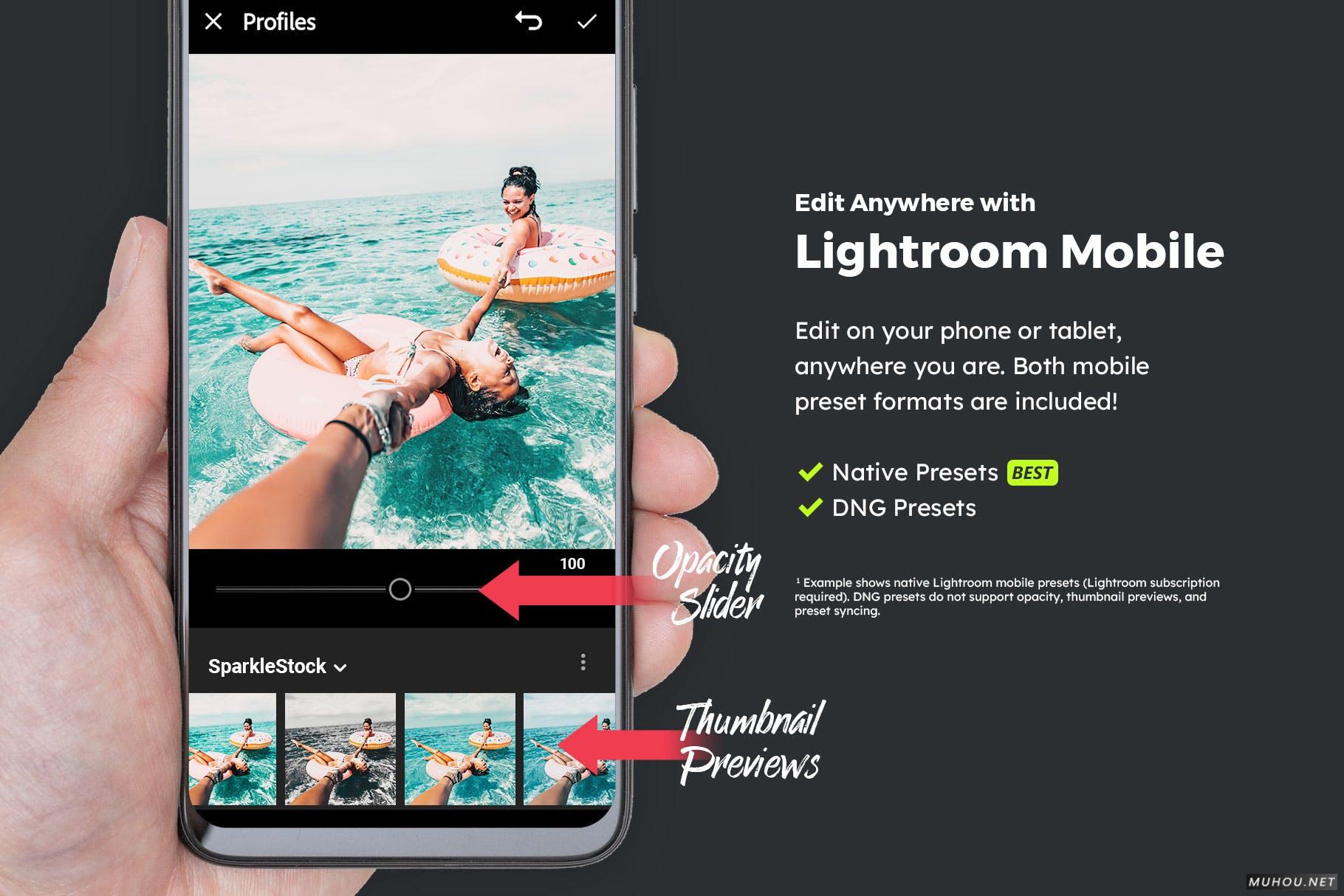 Luts调色预设-20组炎热夏天海滩游玩独家调色效果 20 Summertime Lightroom Presets and LUTs插图11