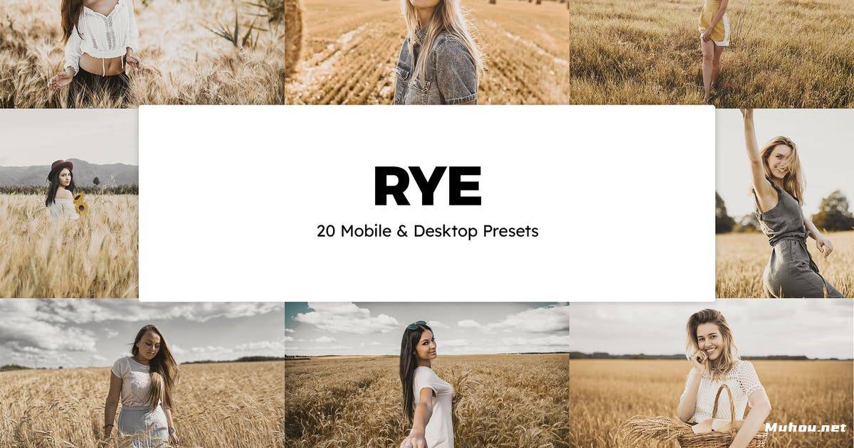 Luts调色预设-20个黑金麦田调色滤镜 Rye Lightroom Presets & LUTs插图