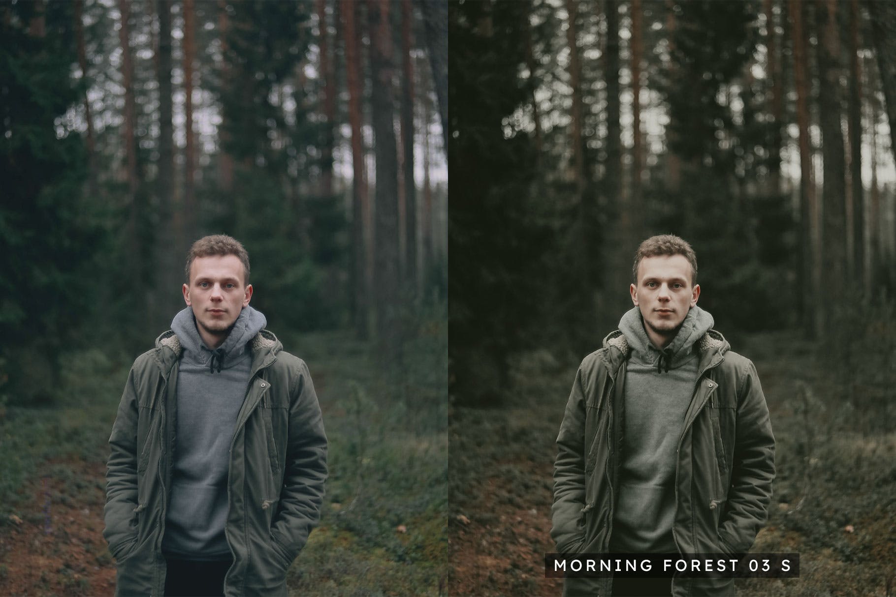 Luts调色预设-20组自然古朴原始森林色调滤镜Moody Woods Lightroom Presets & LUTs插图8