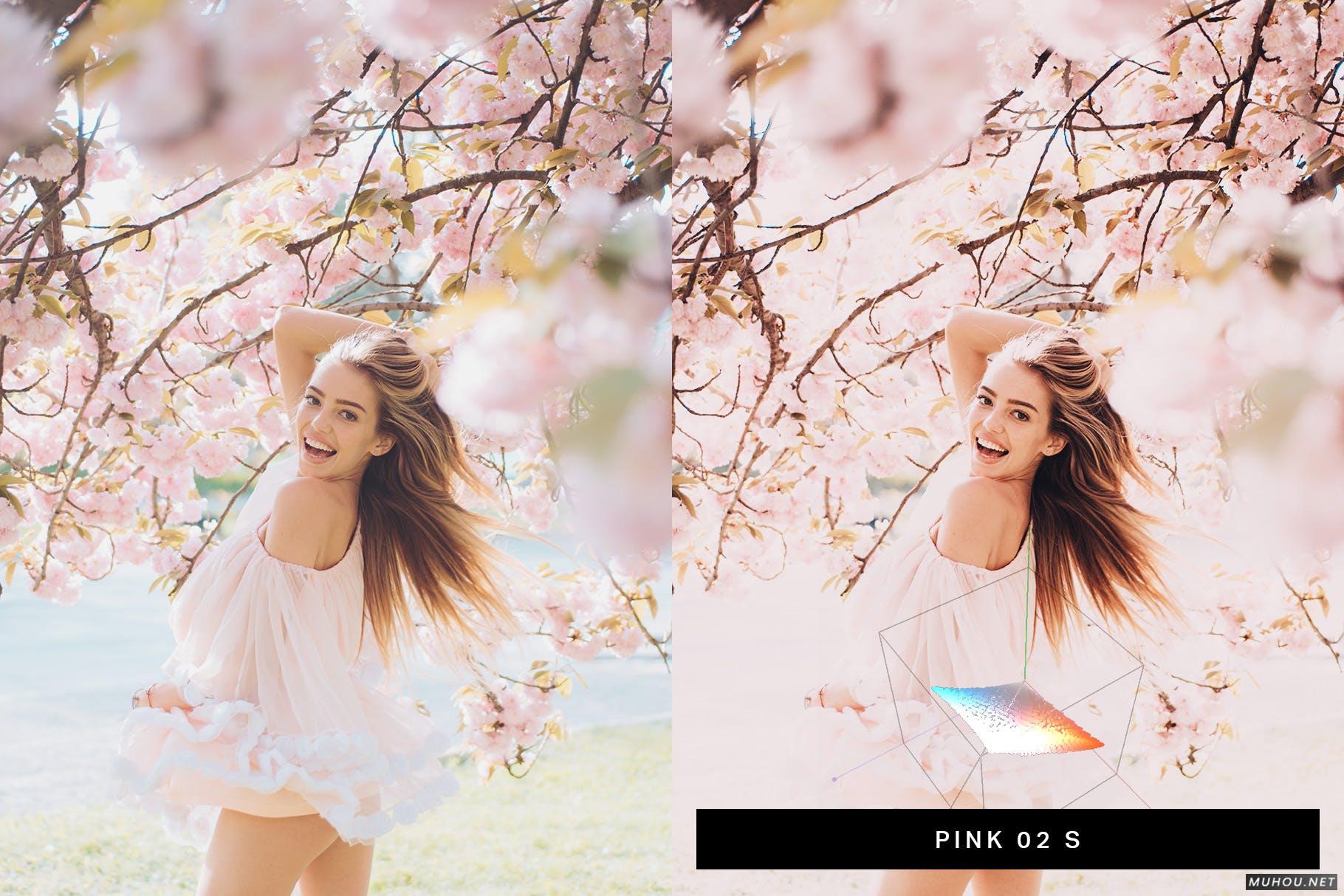 Luts调色预设-50组浪漫日本武汉樱花照片视频调色色调 50 Sakura Pink Lightroom Presets and LUTs插图11