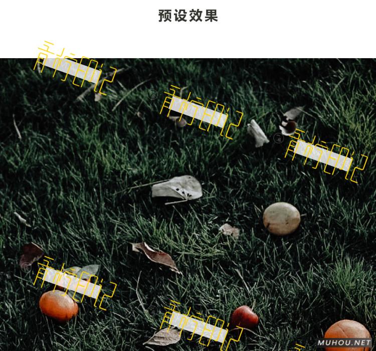 Luts调色预设：视频调色（LR-PR-AE-PS-FCPX-达芬奇）