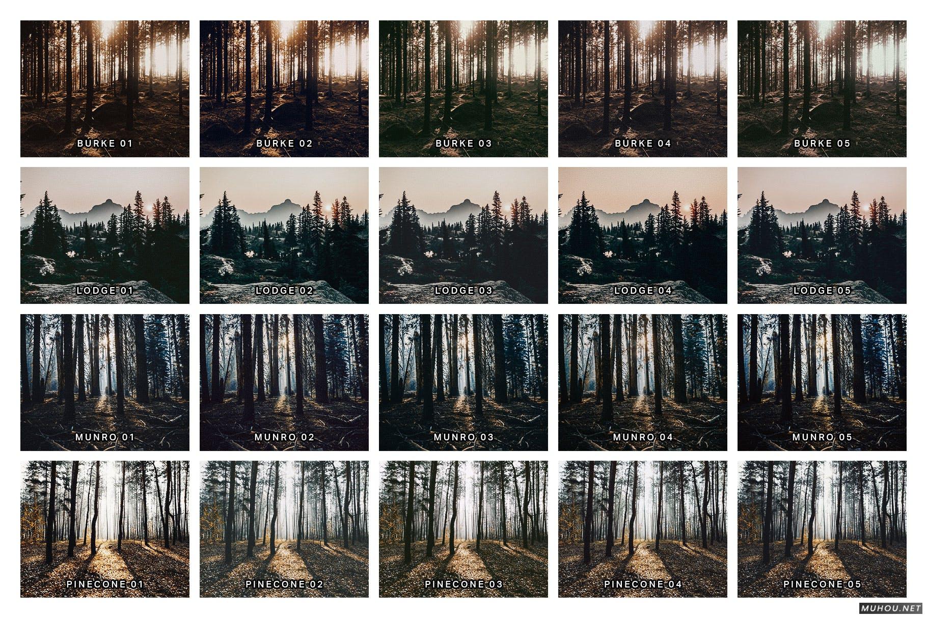 Luts调色预设-20套绿色森系自然森林照片视频调色滤镜20 Moody Forest Lightroom Presets and LUTs插图8