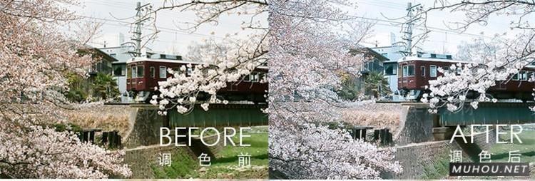 Luts调色预设：视频调色（LR-PR-AE-PS-FCPX-达芬奇）
