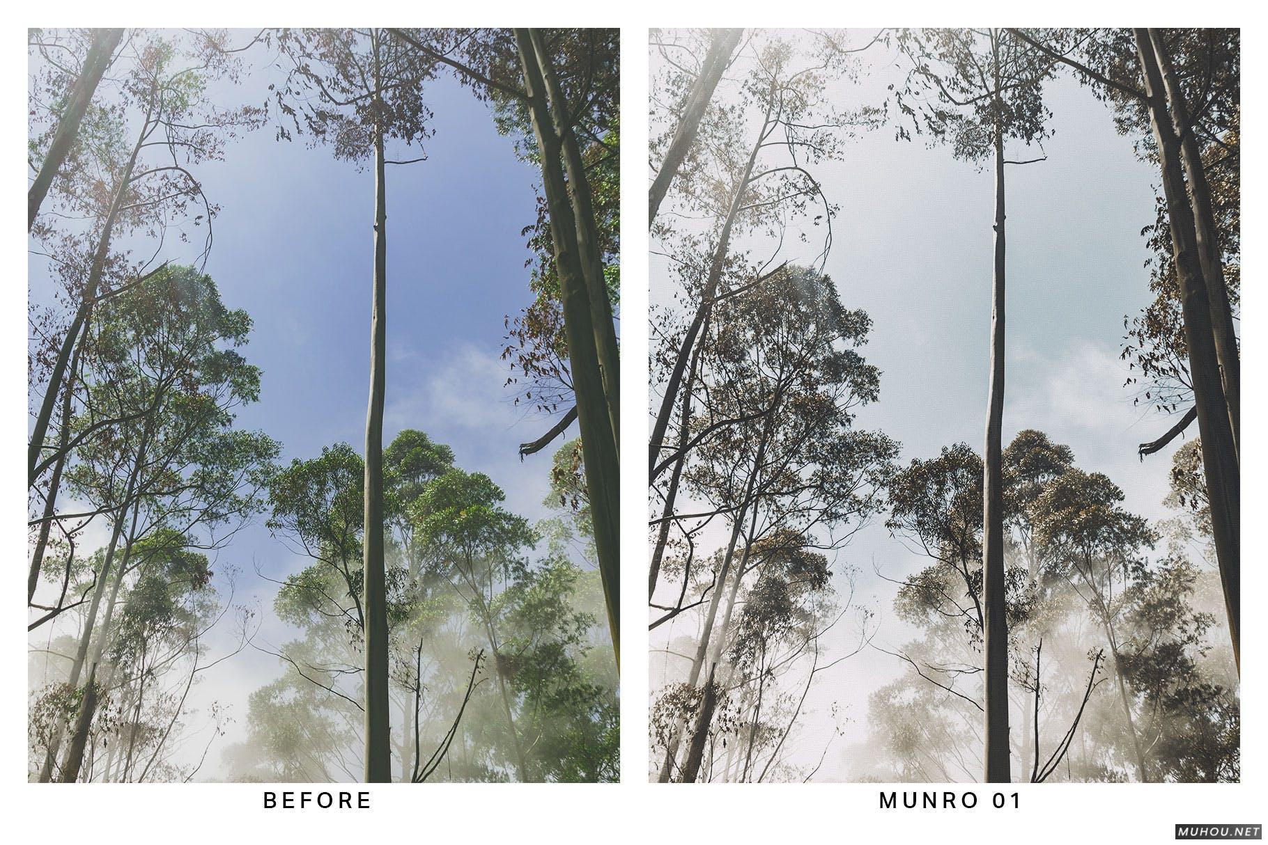 Luts调色预设-20套绿色森系自然森林照片视频调色滤镜20 Moody Forest Lightroom Presets and LUTs插图11