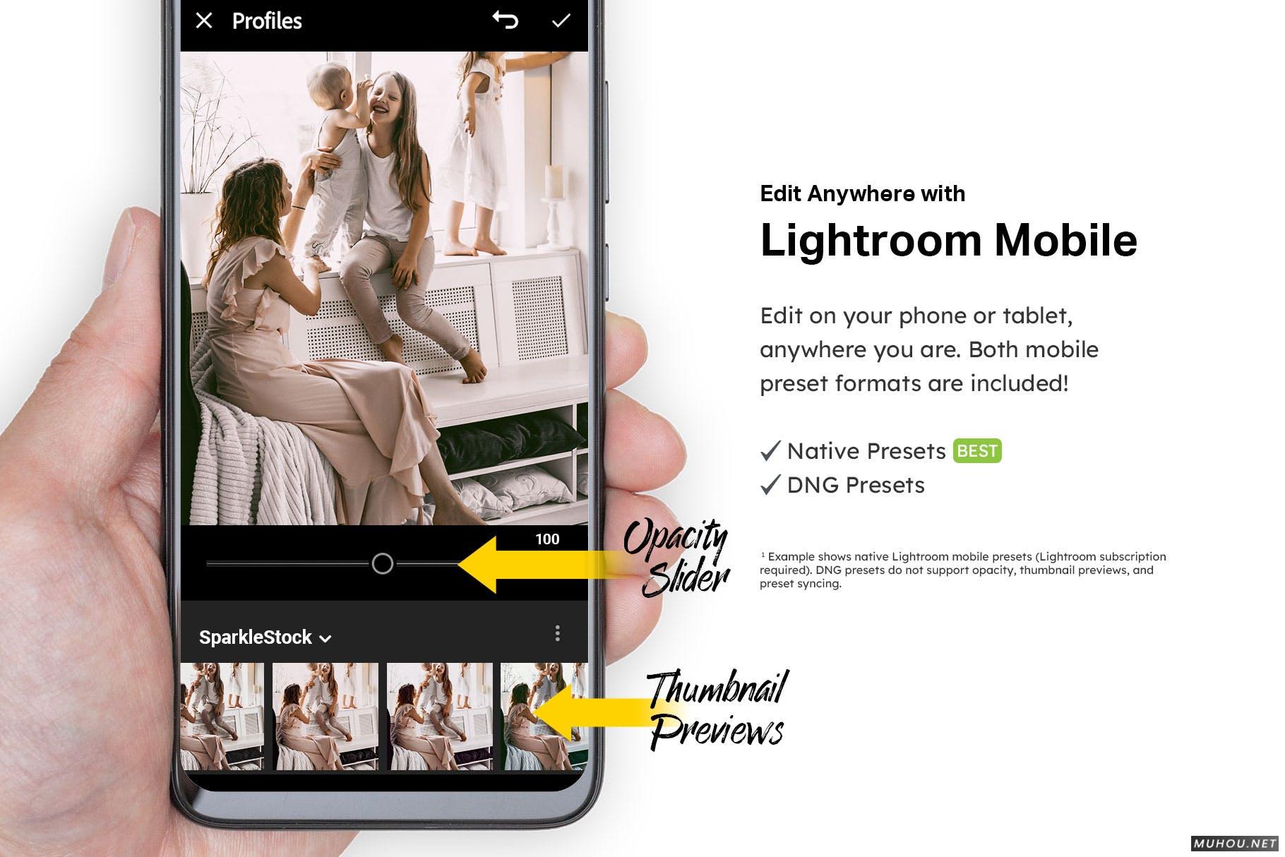 Luts调色预设-50组INS网红褪色风格自然调色滤镜50 Nude Tones Lightroom Presets and LUTs插图12