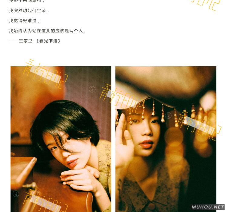 Luts调色预设：视频调色（LR-PR-AE-PS-FCPX-达芬奇）