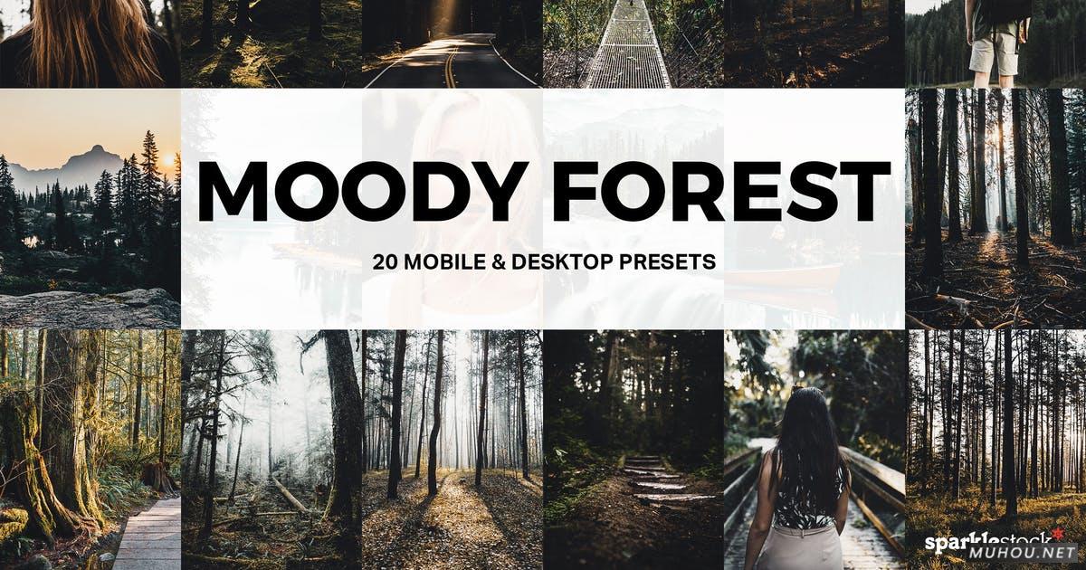 Luts调色预设-20套绿色森系自然森林照片视频调色滤镜20 Moody Forest Lightroom Presets and LUTs插图
