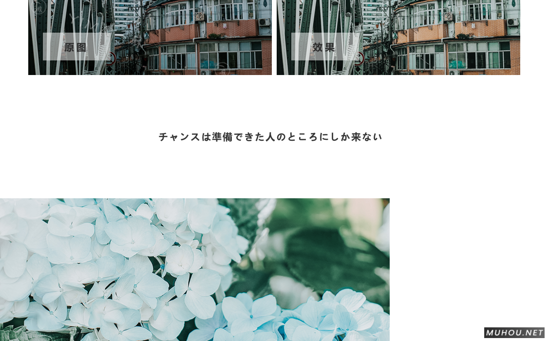 Luts调色预设：视频调色（LR-PR-AE-PS-FCPX-达芬奇）