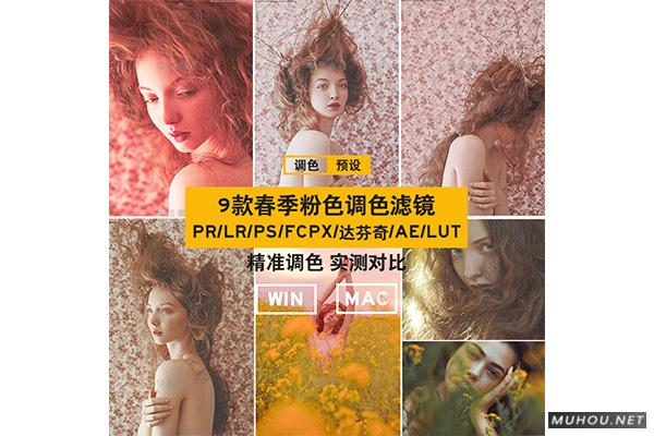 Luts调色预设：春季粉色私房人像视频调色滤镜（LR-PR-AE-PS-FCPX-达芬奇）