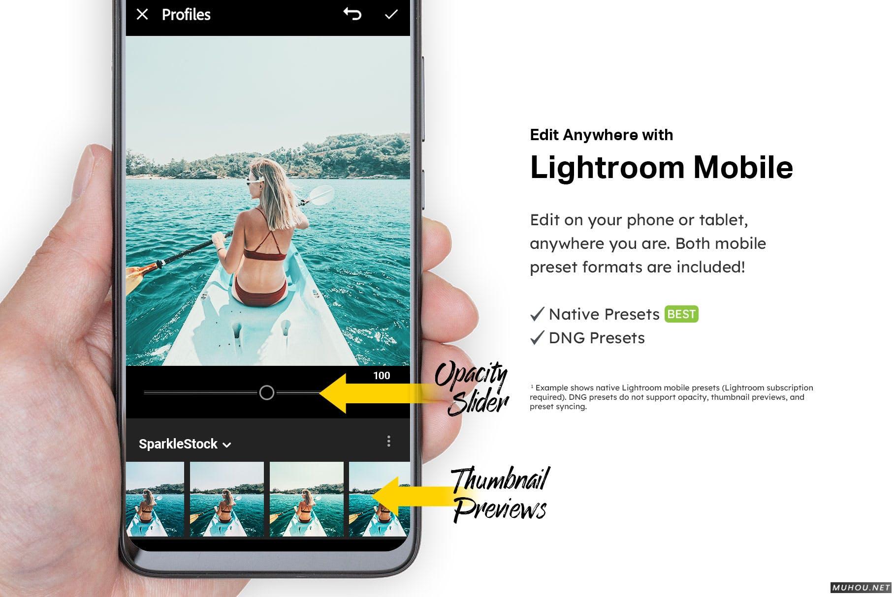 Luts调色预设-20种热带Lightroom预设和LUT滤镜下载20 Tropical Lightroom Presets and LUTs插图13