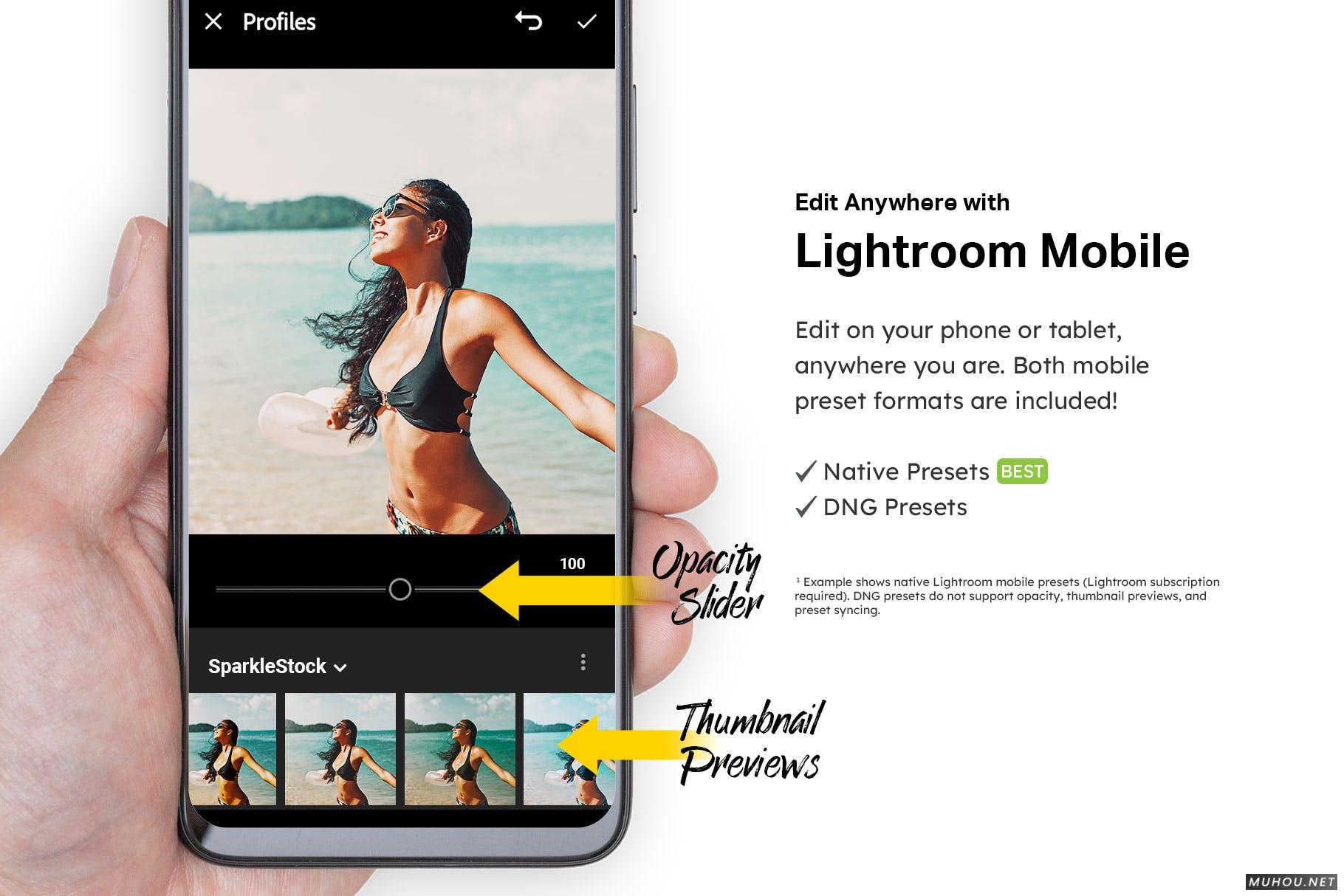 Luts调色预设-20组情侣旅行金色阳光照耀视频照片调色20 Epic Travel Lightroom Presets and LUTs插图13