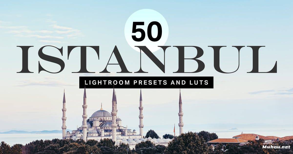 Luts调色预设-50伊斯坦布尔土耳其色调旅行vlog调色滤镜50 Istanbul Travel Lightroom Presets and LUTs插图