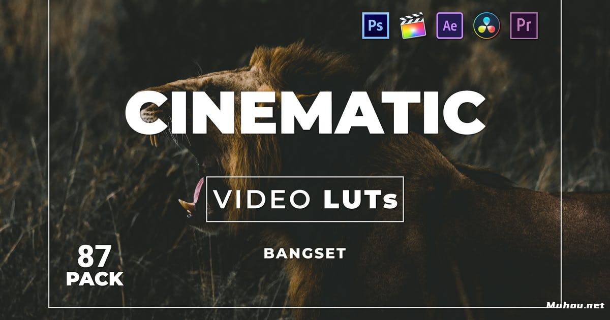 Luts视频预设-5组自然深色复古色调Bangset Cinematic Pack 87 Video LUTs插图