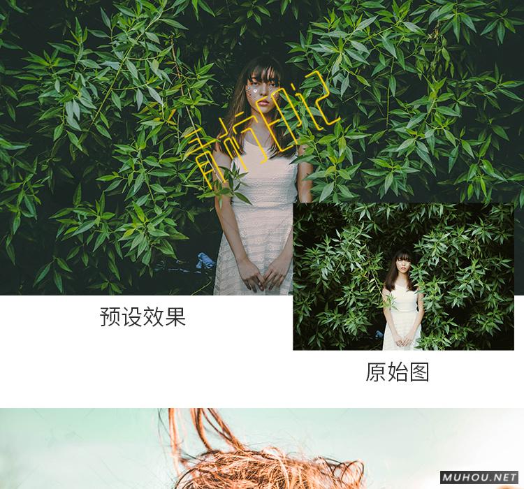 Luts调色预设：视频调色（LR-PR-AE-PS-FCPX-达芬奇）