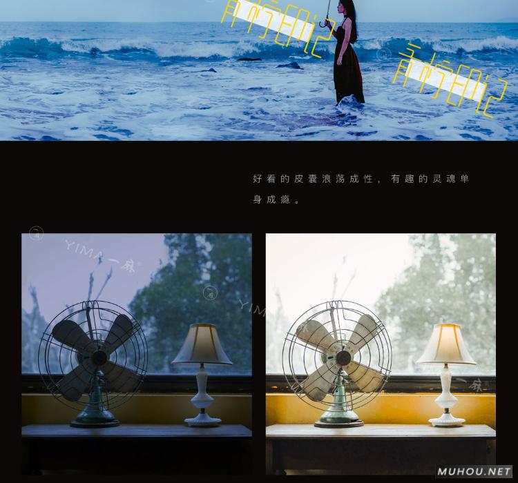 Luts调色预设：视频调色（LR-PR-AE-PS-FCPX-达芬奇）