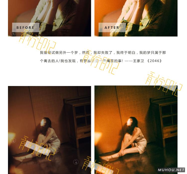 Luts调色预设：视频调色（LR-PR-AE-PS-FCPX-达芬奇）