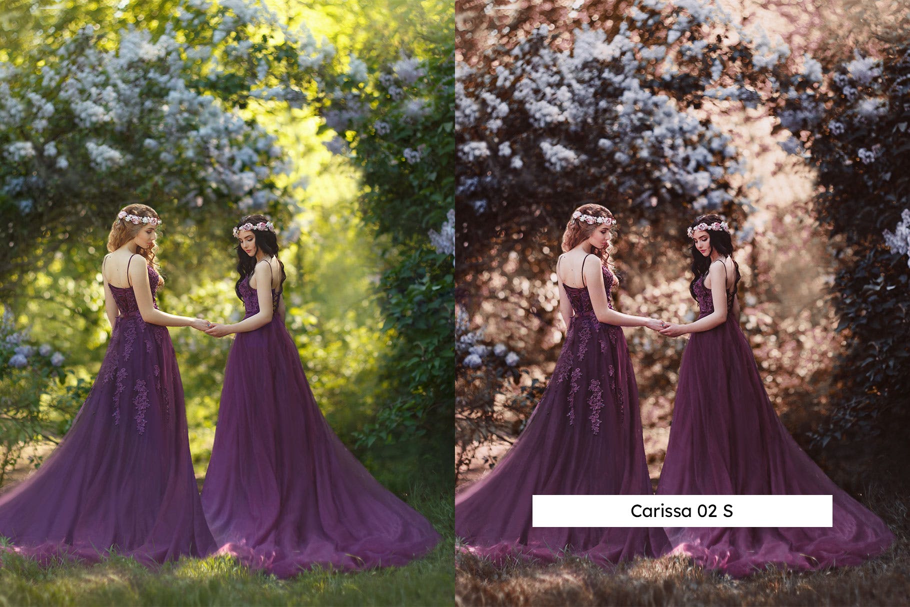 Luts调色预设-20个梅花薰衣草紫罗兰色调调色视频滤镜Plum Lightroom Presets & LUTs插图8
