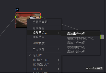 【达芬奇预设安装】DaVinci Resolve调色Luts预设安装步骤插图3