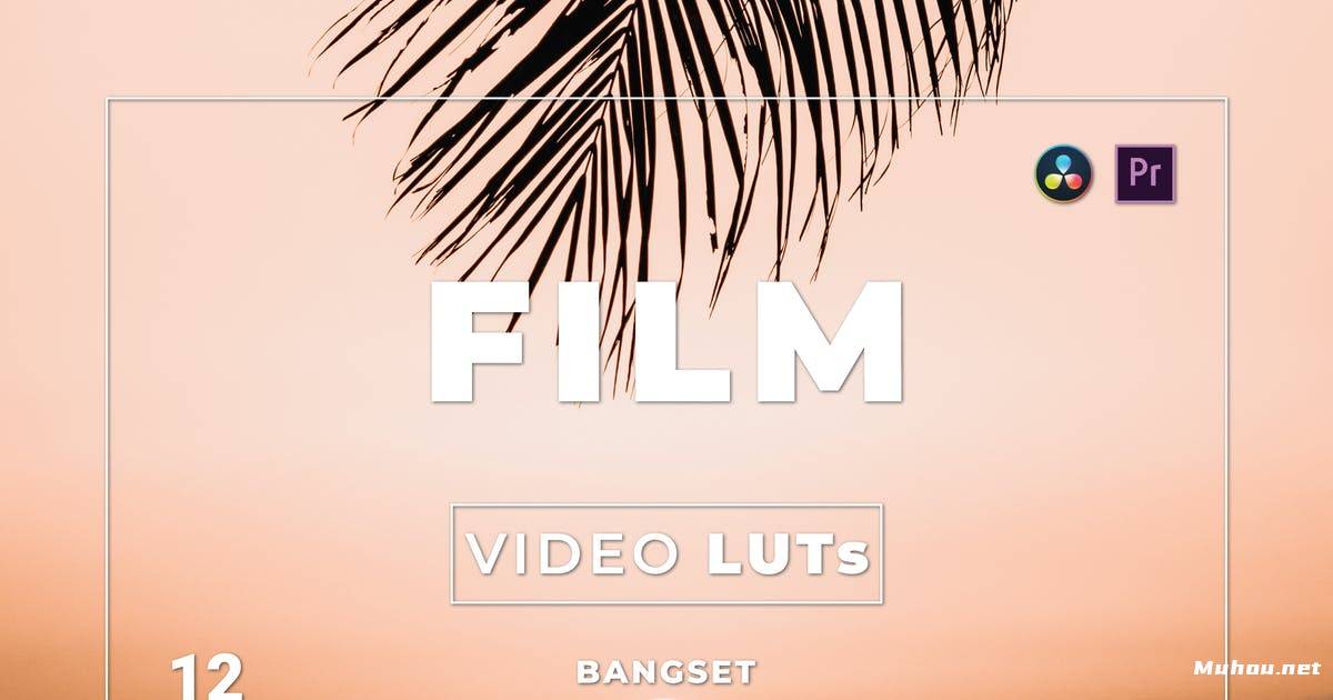 Luts视频预设-10组质感增强调色滤镜Bangset Film Pack 12 Video LUTs插图
