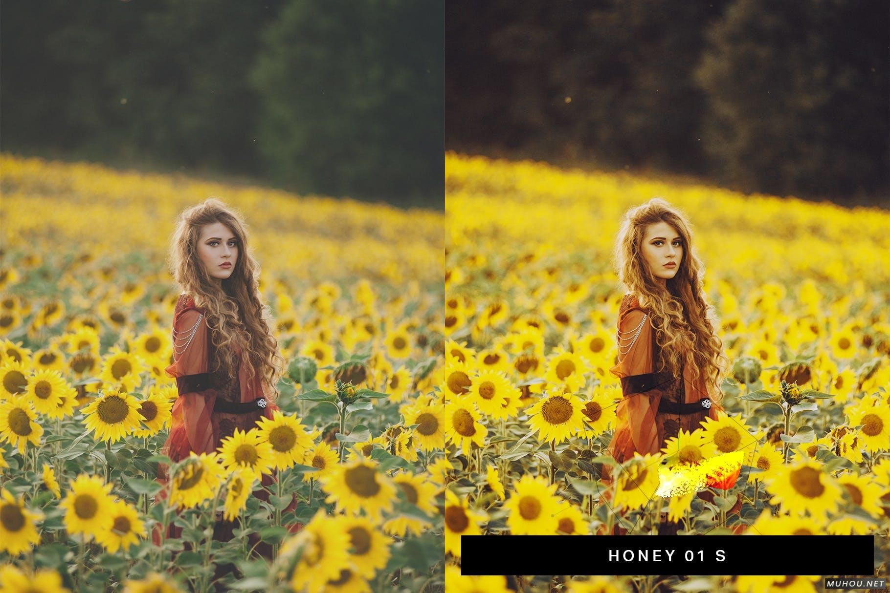 Luts调色预设-50组专业户外摄影自然调色滤镜50 Moody Lightroom Presets and LUTs插图10