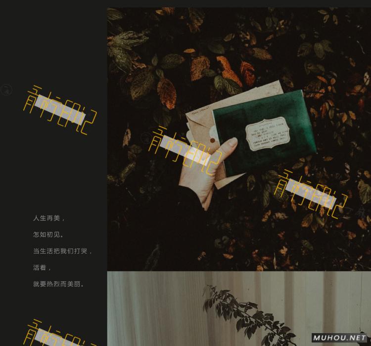 Luts调色预设：8组法式怀旧胶片效果人像视频调色滤镜下载（LR-PR-AE-PS-FCPX-达芬奇）