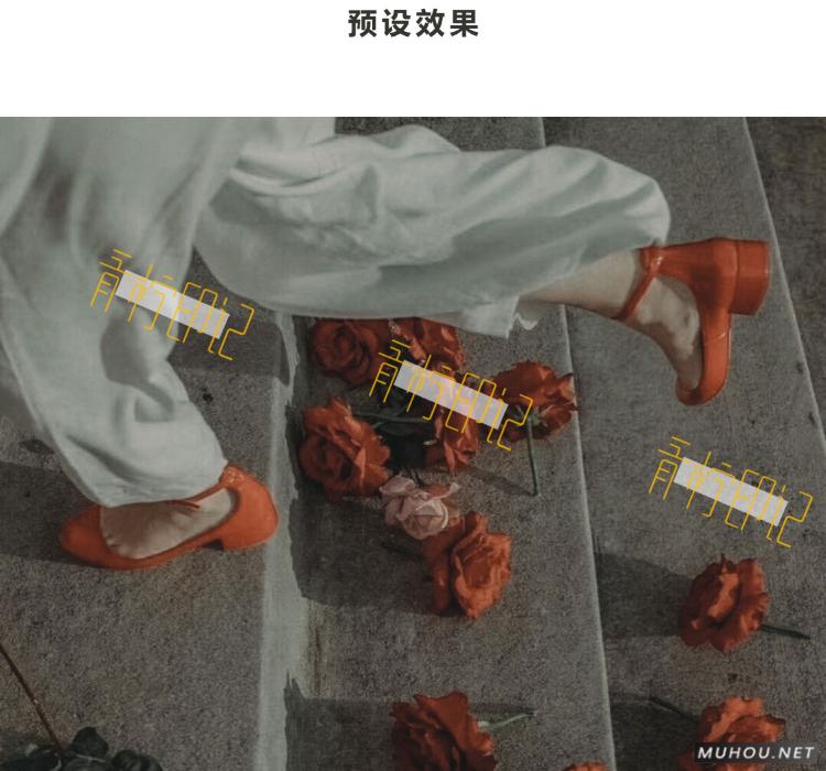 Luts调色预设：8组法式怀旧胶片效果人像视频调色滤镜下载（LR-PR-AE-PS-FCPX-达芬奇）