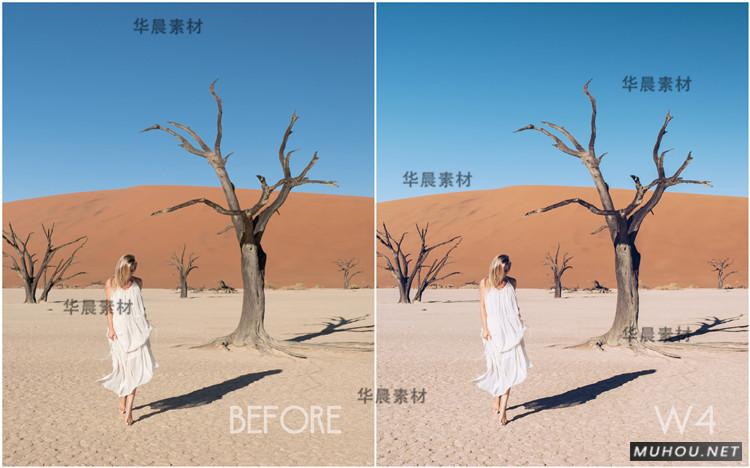 Luts调色预设：视频调色（LR-PR-AE-PS-FCPX-达芬奇）