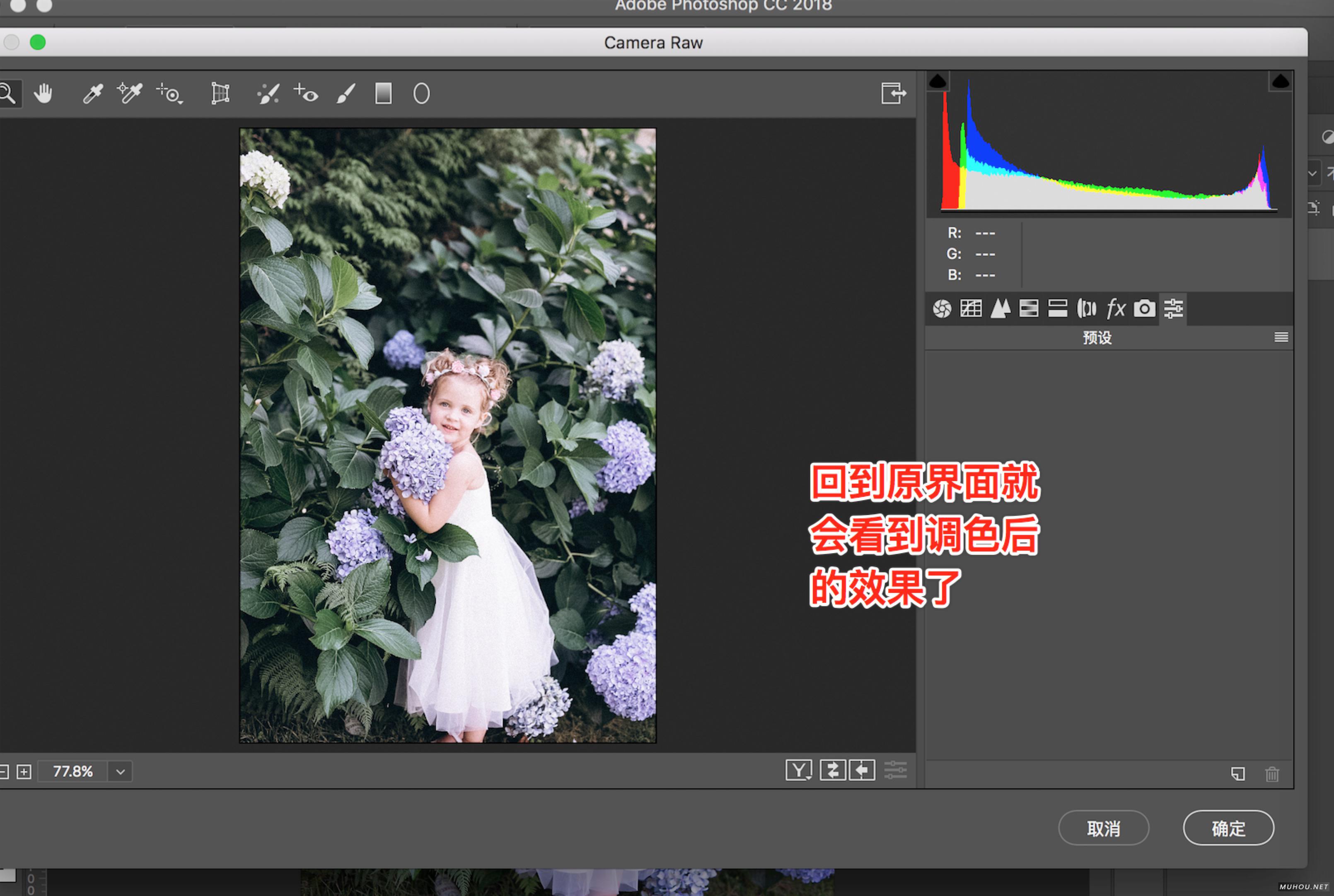 【PS调色预设安装】PS/ACR预设文件.xmp怎么导入Photoshop/Camera RAW+使用教程插图5