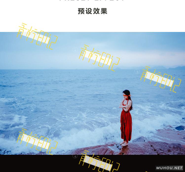 Luts调色预设：视频调色（LR-PR-AE-PS-FCPX-达芬奇）