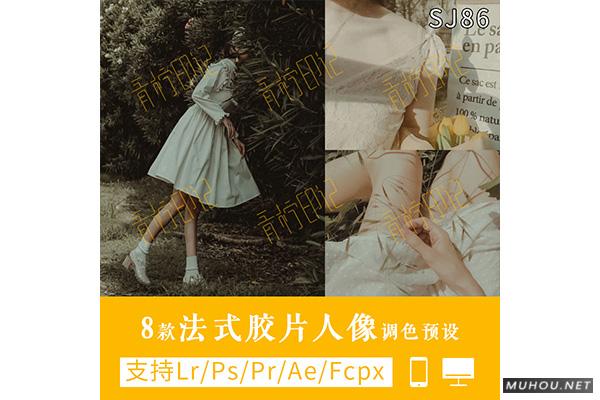 Luts调色预设：8组法式怀旧胶片效果人像视频调色滤镜下载（LR-PR-AE-PS-FCPX-达芬奇）