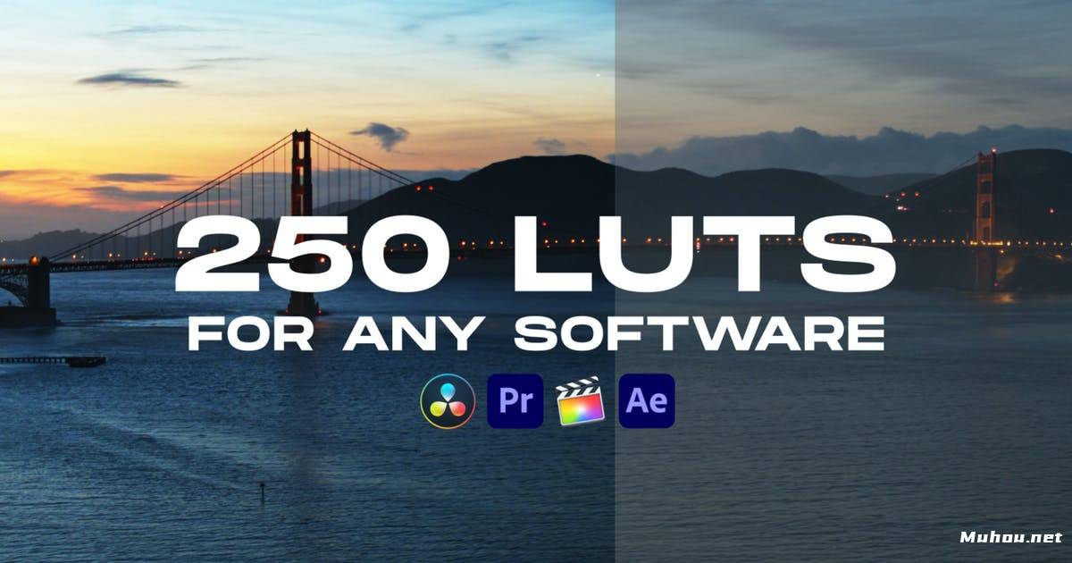 Luts视频预设-250 套LUT色彩预置调色滤镜250 LUT Color Presets插图