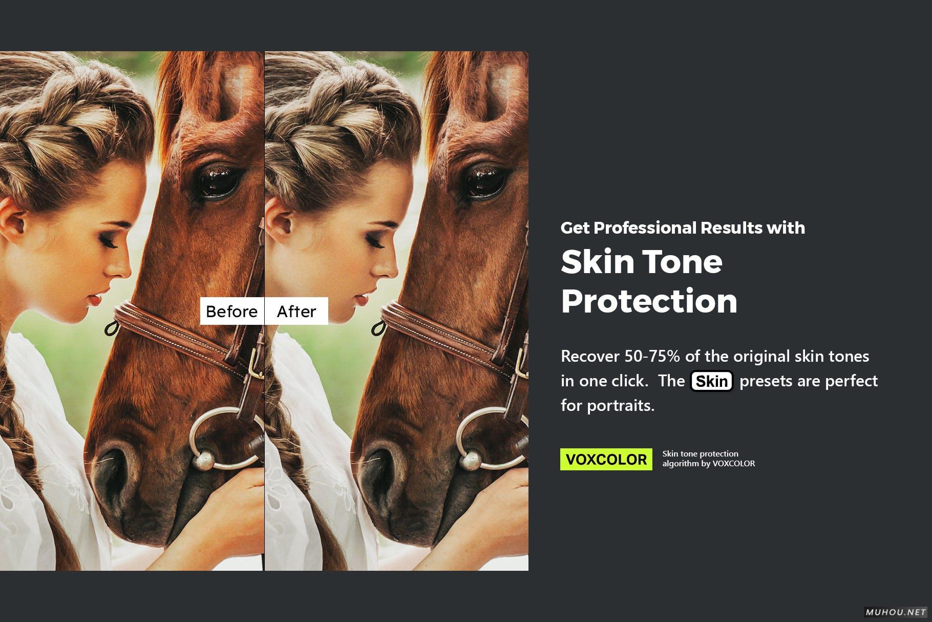 Luts调色预设-20套自然界野生动物视频照片调色效果20 Wildlife Lightroom Presets and LUTs插图15