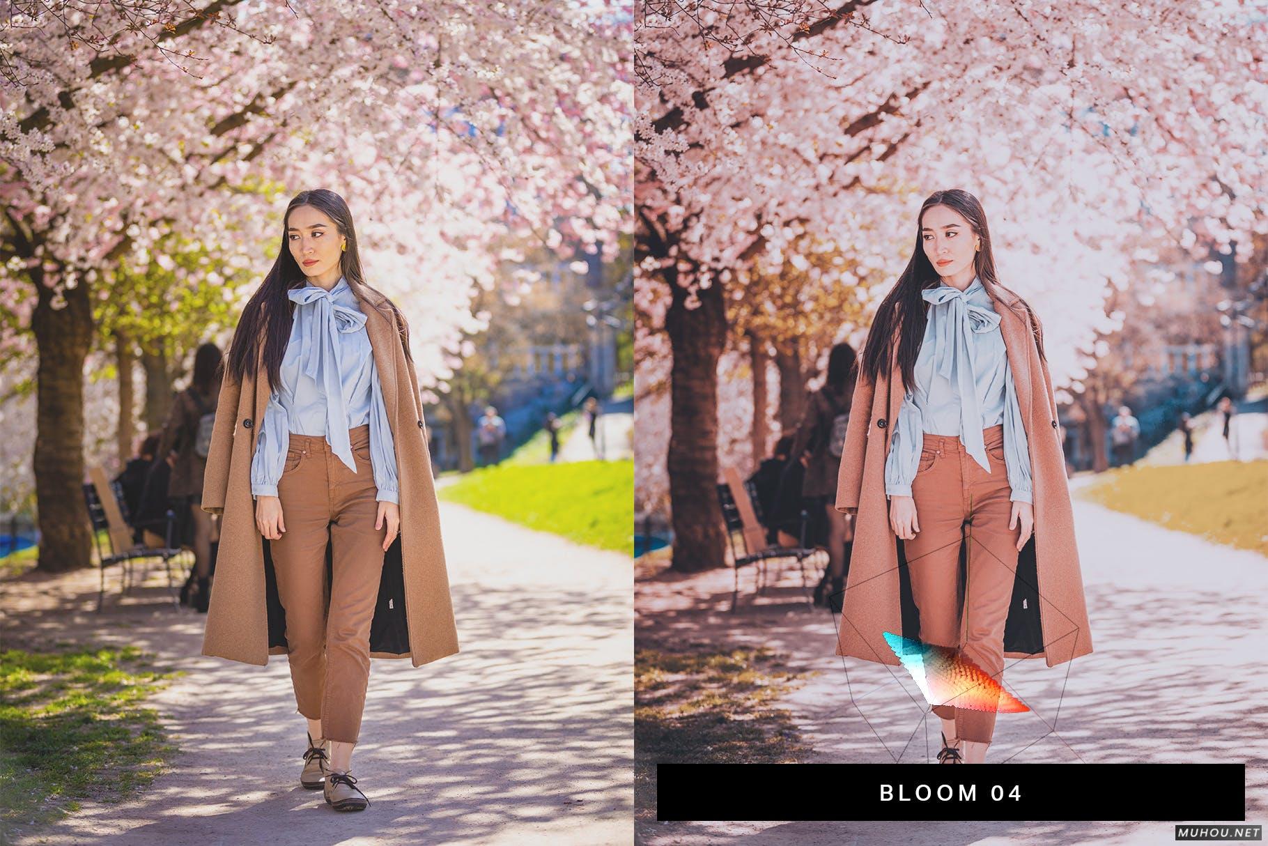Luts调色预设-50组浪漫日本武汉樱花照片视频调色色调 50 Sakura Pink Lightroom Presets and LUTs插图8