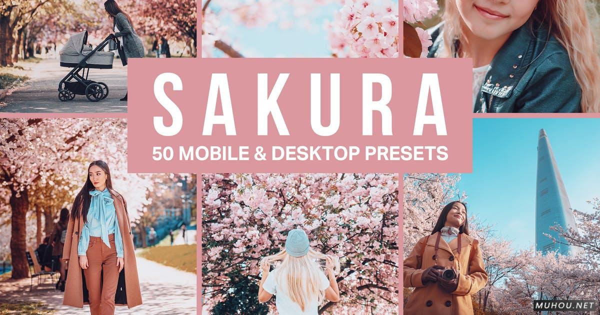 Luts调色预设-50组浪漫日本武汉樱花照片视频调色色调 50 Sakura Pink Lightroom Presets and LUTs插图