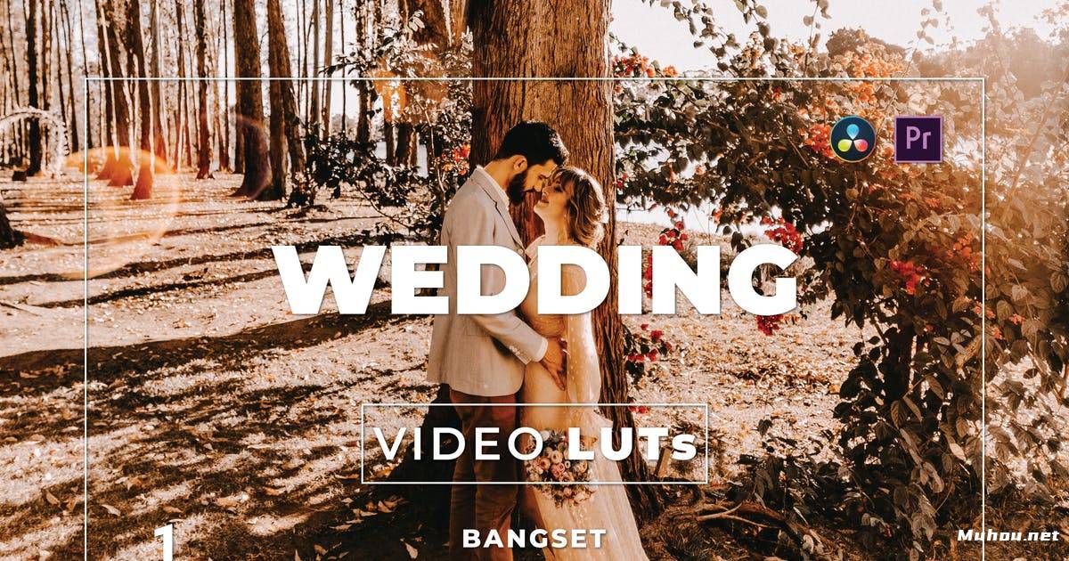 Luts视频预设-莫妮卡色调婚礼调色滤镜Bangset Wedding Pack 1 Video LUTs插图