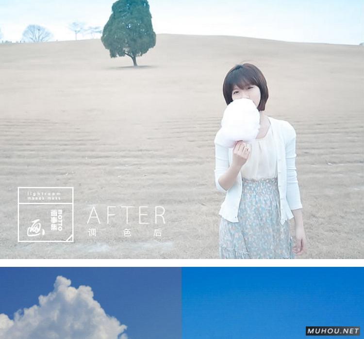 Luts调色预设：视频调色（LR-PR-AE-PS-FCPX-达芬奇）
