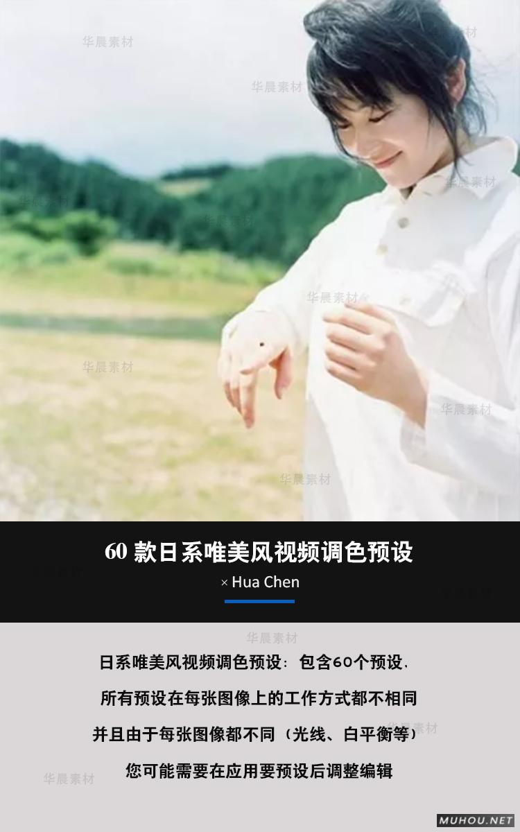 Luts调色预设：视频调色（LR-PR-AE-PS-FCPX-达芬奇）