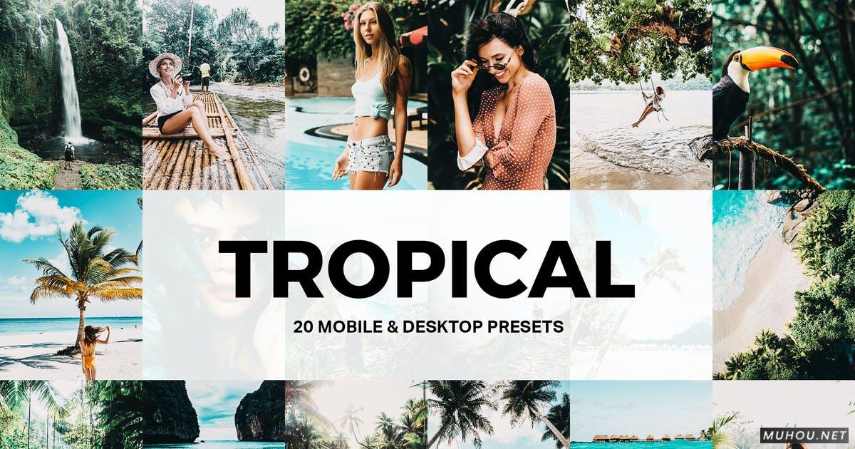 Luts调色预设-20种热带Lightroom预设和LUT滤镜下载20 Tropical Lightroom Presets and LUTs插图